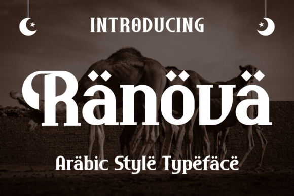 Ranova Font for Modern Web Design Projects